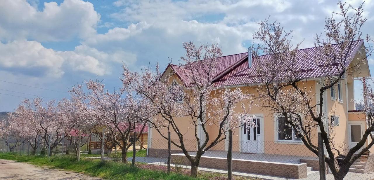 Conacul Mierii Villa Straseni ภายนอก รูปภาพ