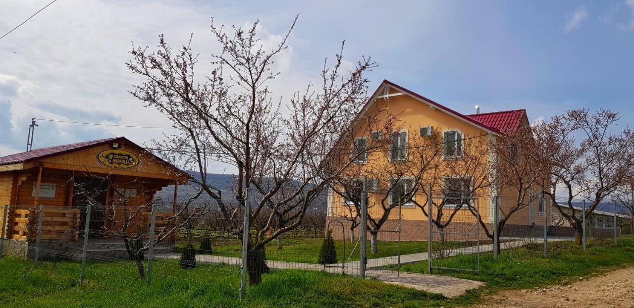 Conacul Mierii Villa Straseni ภายนอก รูปภาพ